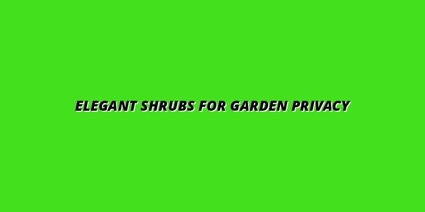 creating privacy with elegant shrubs in your garden